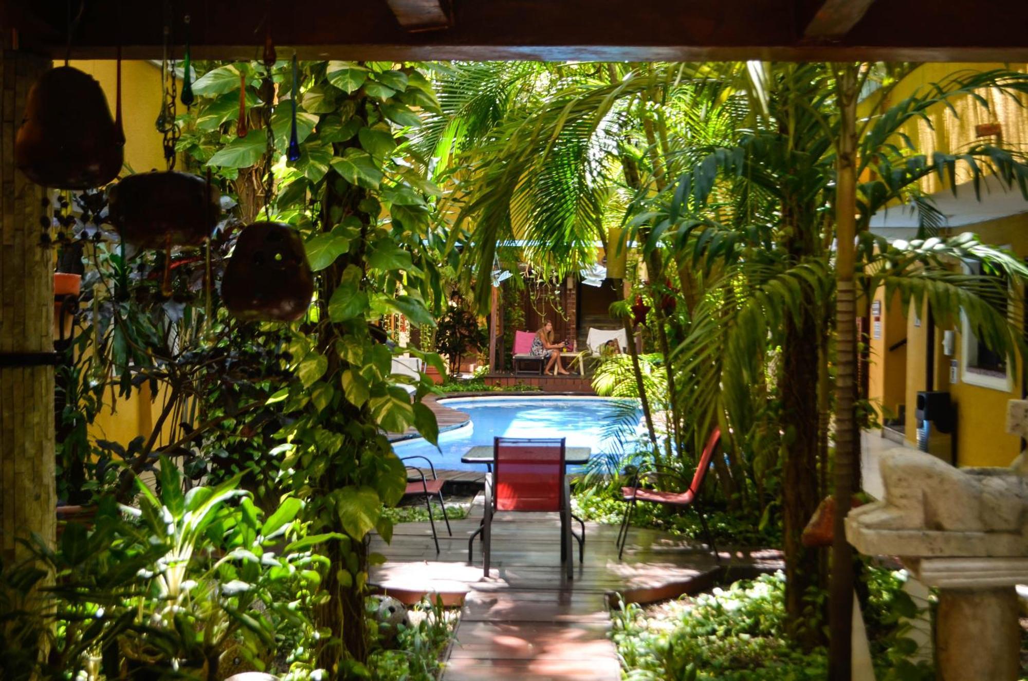 Hotel Las Golondrinas Playa del Carmen Buitenkant foto